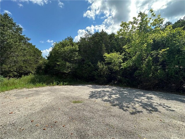 20 Lakeview Ln, Holiday Island, AR 72631 - photo 29