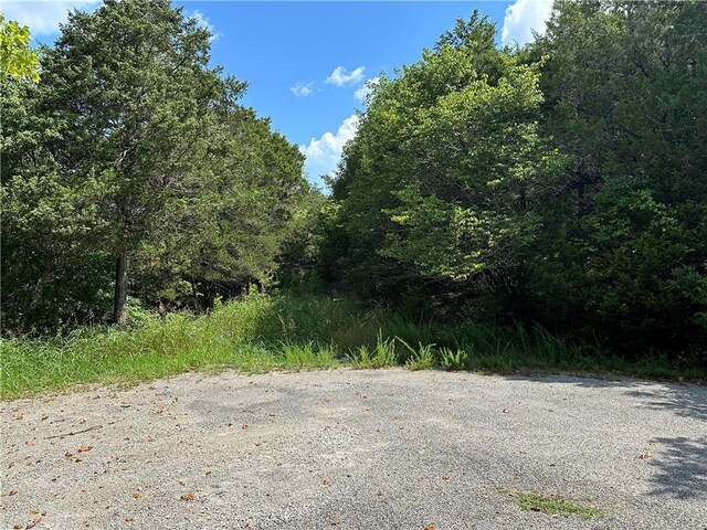 20 Lakeview Ln, Holiday Island, AR 72631 - photo 30