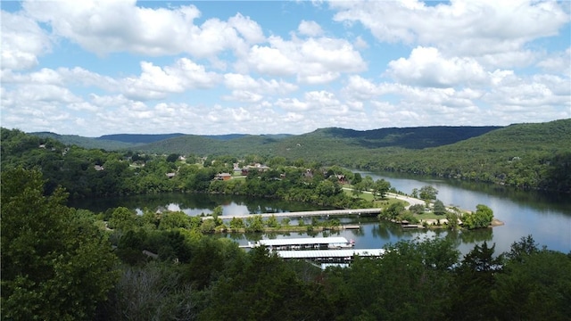 20 Lakeview Ln, Holiday Island, AR 72631 - photo 1