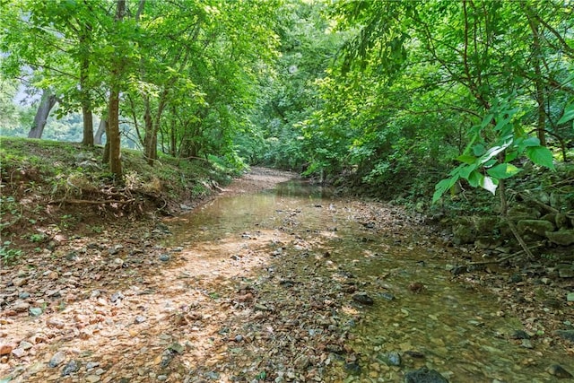 view of local wilderness featuring a forest view