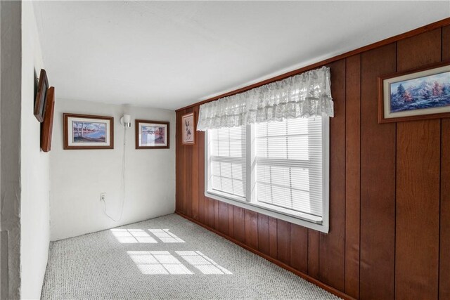 spare room featuring light carpet and wooden walls