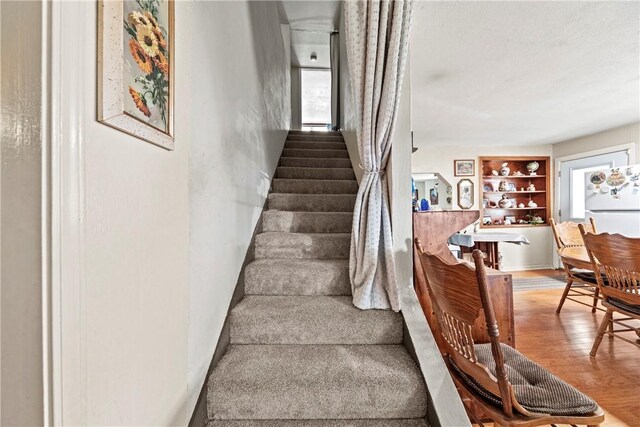 stairs with hardwood / wood-style flooring and built in features