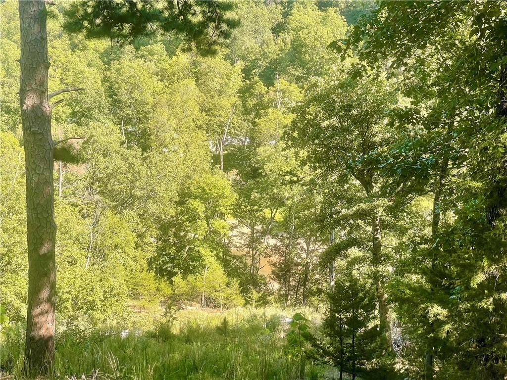15909 Kedzie Cir, Rogers, AR 72758 - photo 2