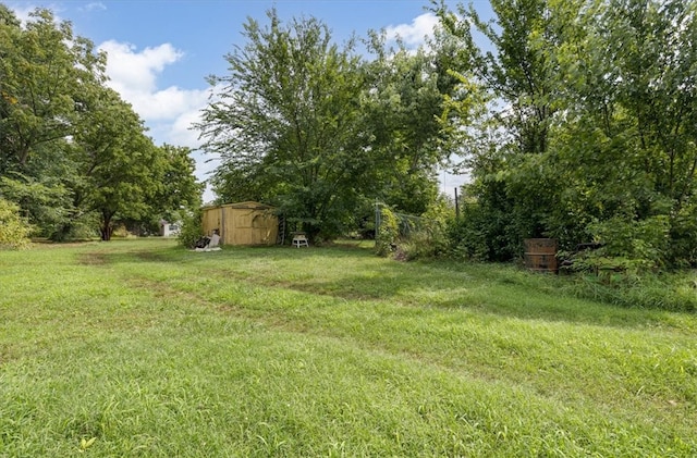 view of yard with a storage shed