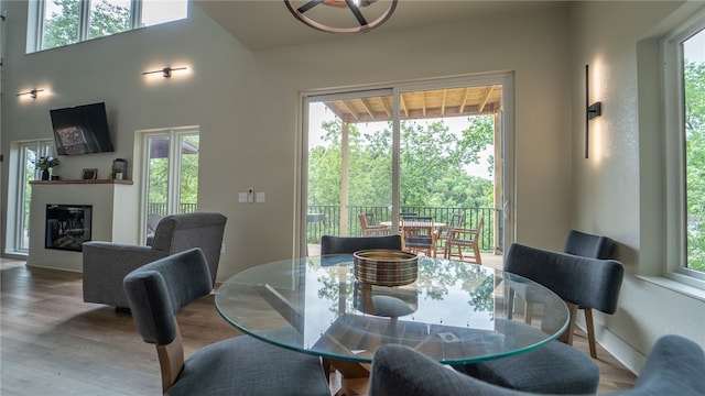 dining space with hardwood / wood-style floors and a healthy amount of sunlight