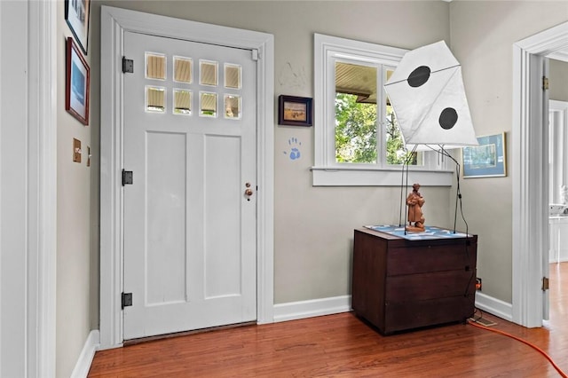 entryway featuring hardwood / wood-style flooring