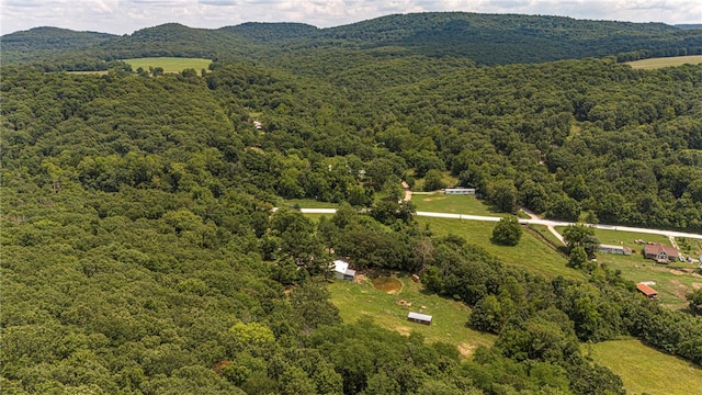 birds eye view of property featuring a mountain view