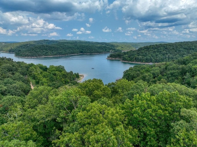 water view with a wooded view