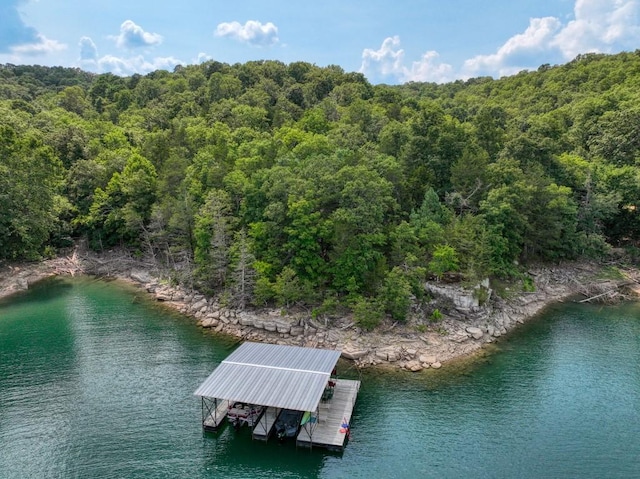aerial view featuring a water view and a view of trees
