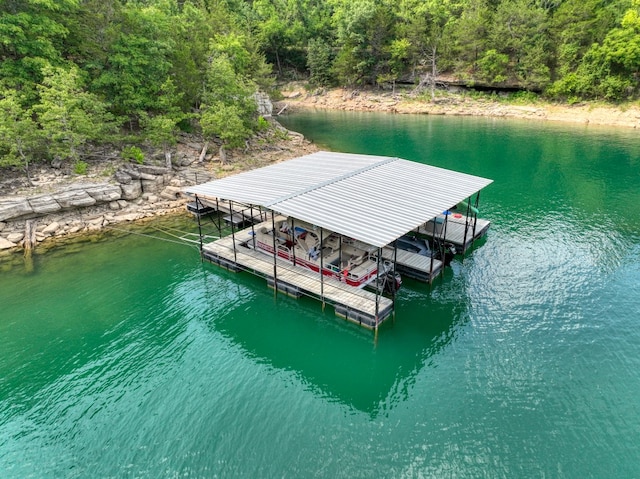 dock area featuring a water view