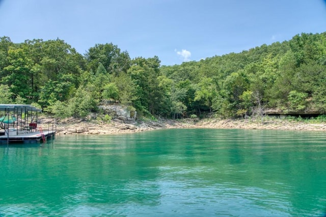water view with a boat dock