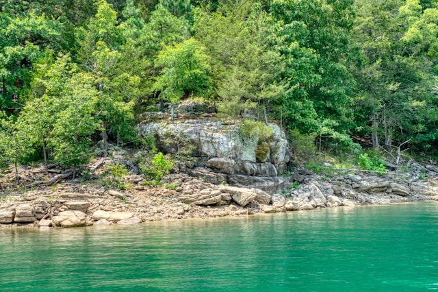 view of water feature with a wooded view