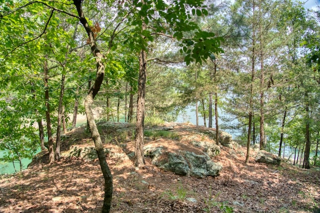 view of landscape with a water view