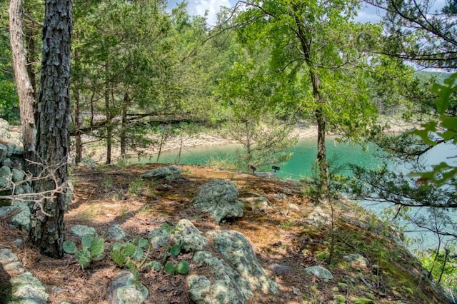 view of landscape with a view of trees