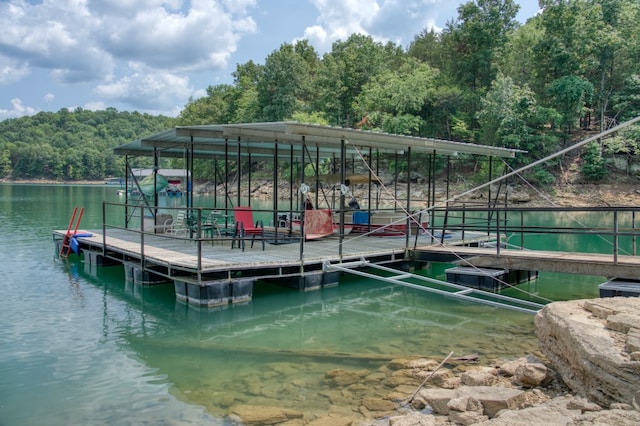 dock area with a water view