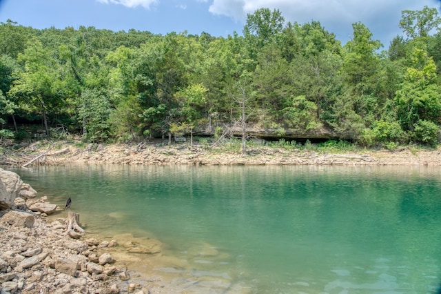 property view of water