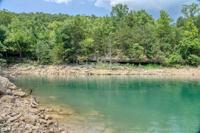 view of water feature featuring a forest view
