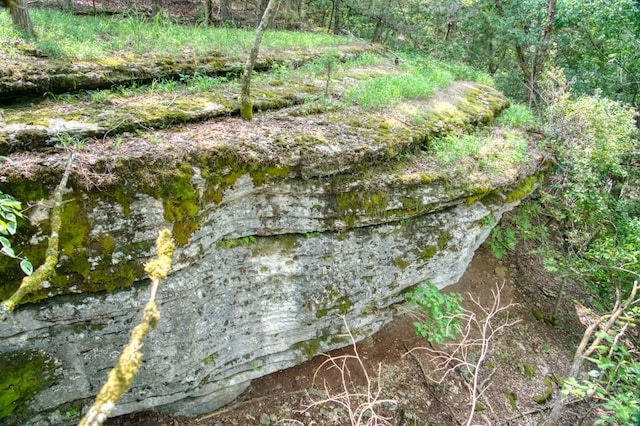 view of landscape featuring a wooded view