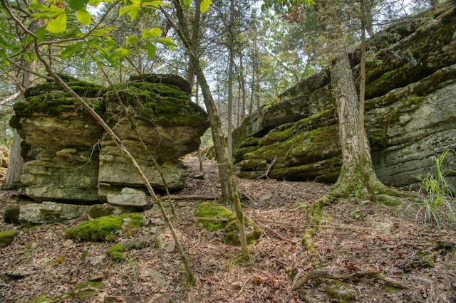 view of nature