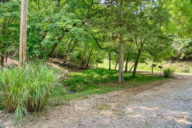 view of road