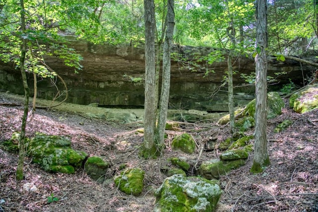 view of local wilderness featuring a forest view