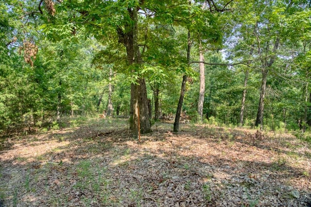 view of local wilderness with a wooded view