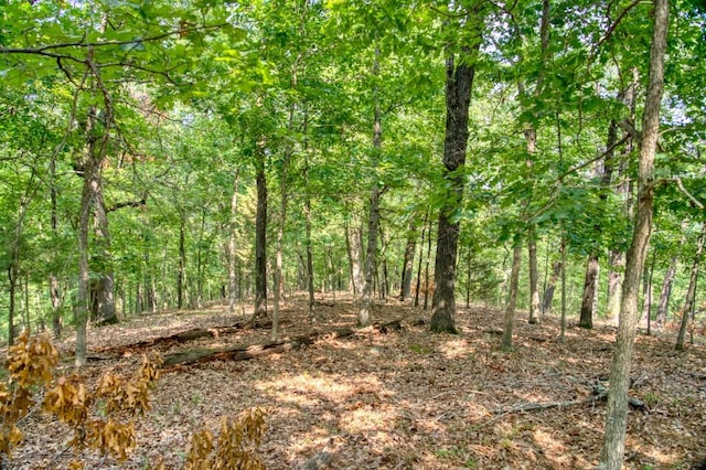 view of local wilderness featuring a forest view