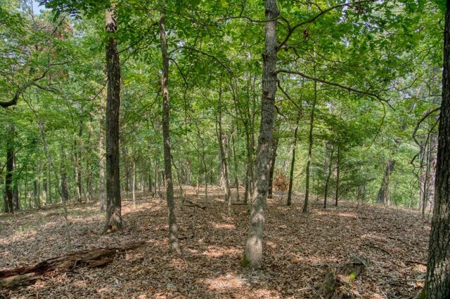 view of local wilderness featuring a forest view