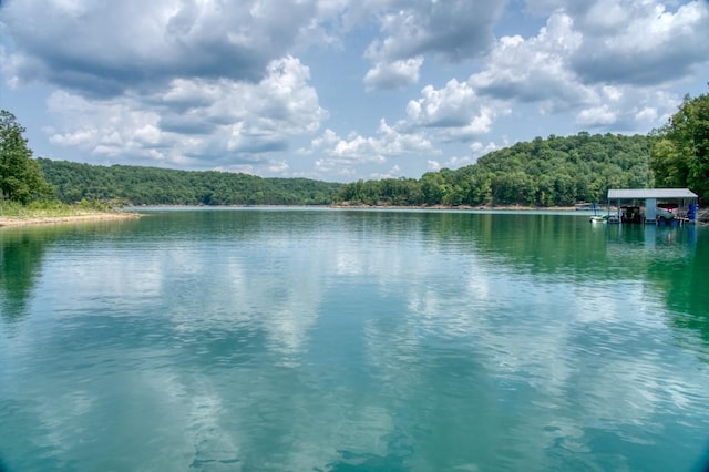 water view featuring a view of trees