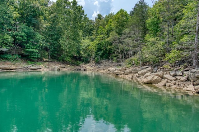 water view featuring a wooded view