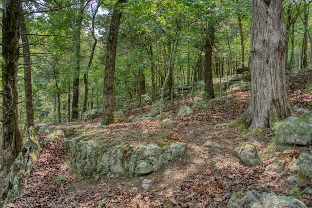view of nature with a forest view