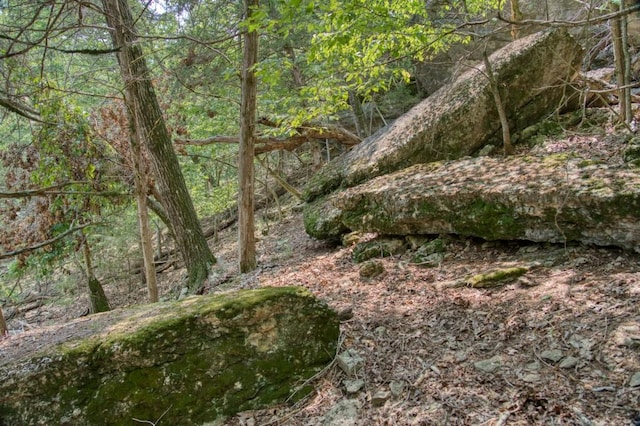 view of landscape featuring a forest view