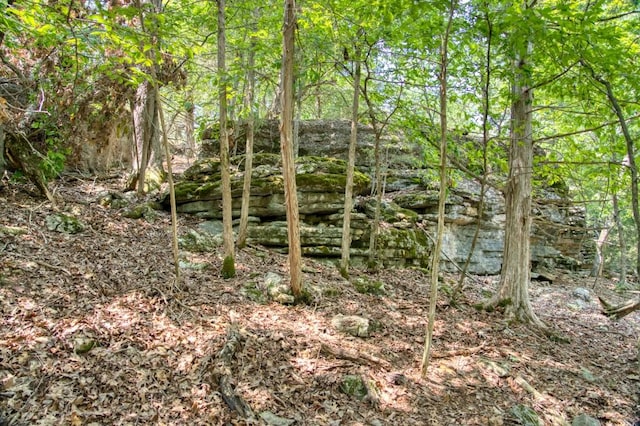 view of landscape featuring a view of trees