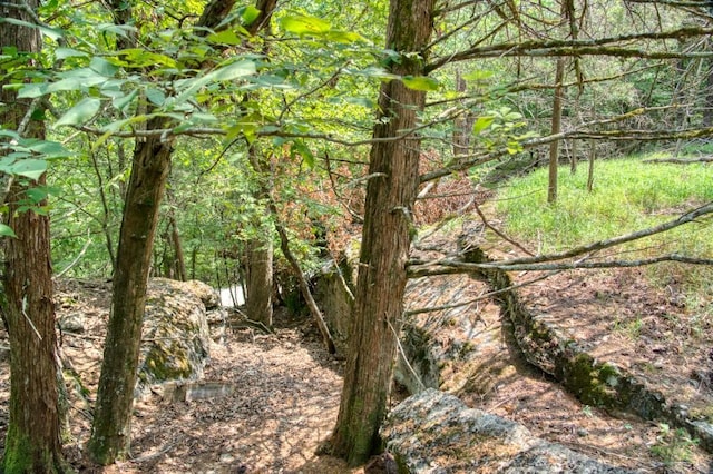 view of nature featuring a forest view