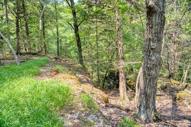 view of nature featuring a wooded view