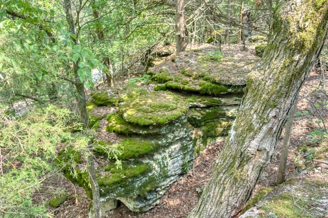 view of nature featuring a forest view