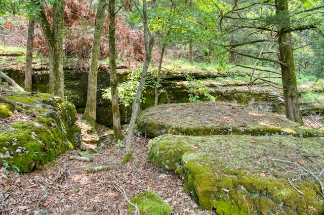 view of local wilderness with a water view