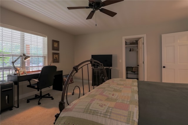 bedroom with light carpet, ceiling fan, a walk in closet, and a closet