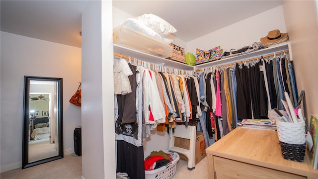 walk in closet featuring carpet floors