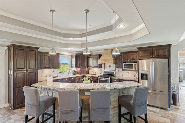 kitchen featuring stainless steel appliances, premium range hood, a raised ceiling, and tasteful backsplash