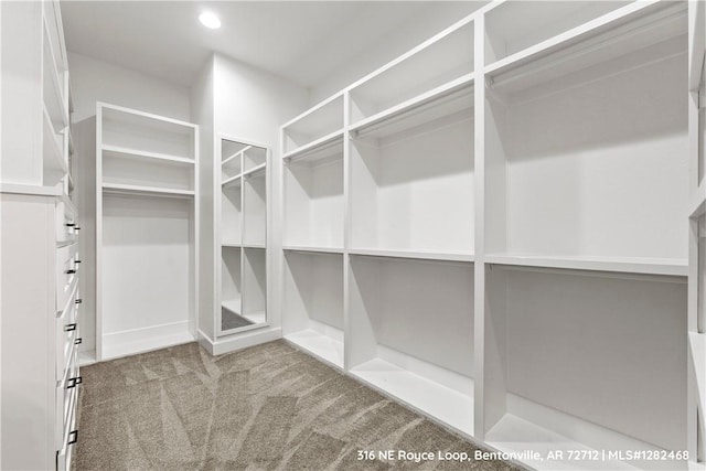 spacious closet with carpet