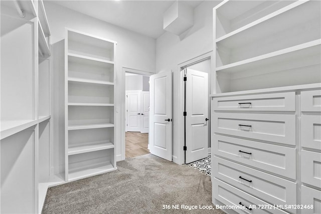 walk in closet with light carpet