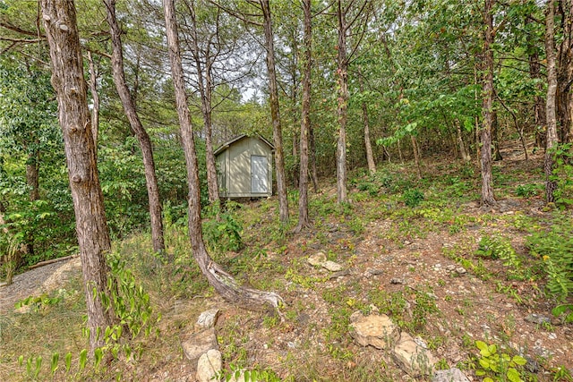 view of yard with a storage shed