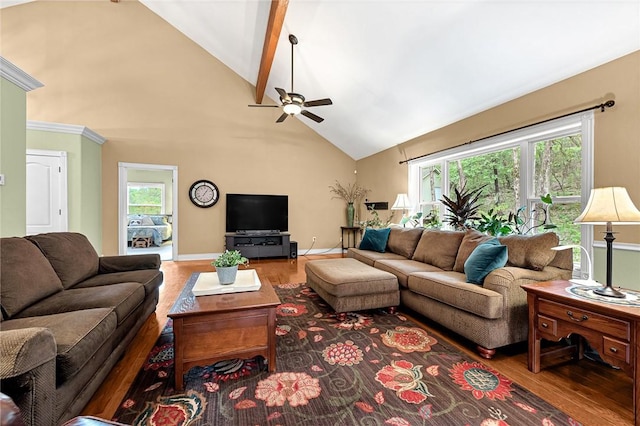 living room with wood-type flooring, beam ceiling, and a wealth of natural light