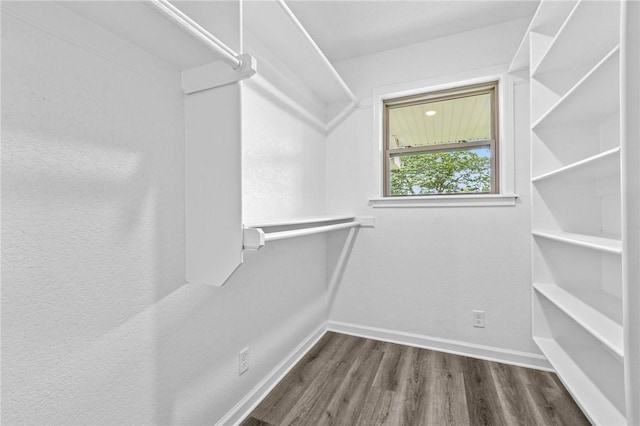 spacious closet with dark hardwood / wood-style floors