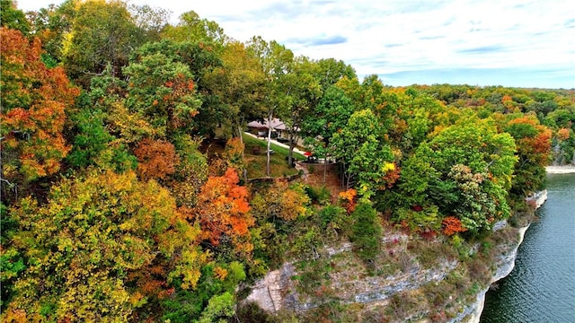 bird's eye view featuring a water view and a wooded view