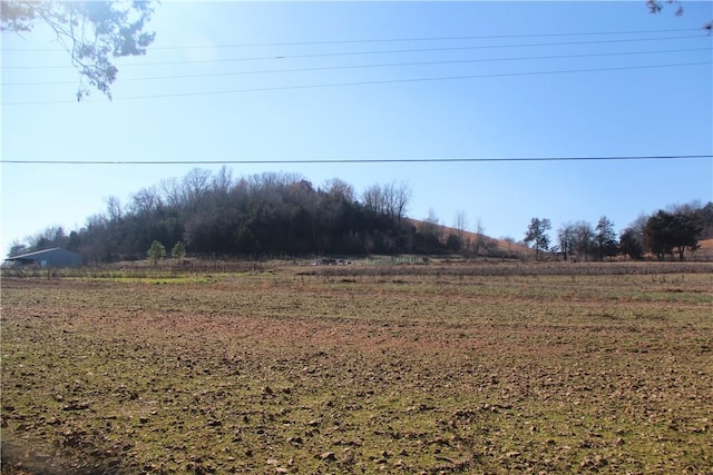 Listing photo 3 for S 21 Highway, Berryville AR 72616