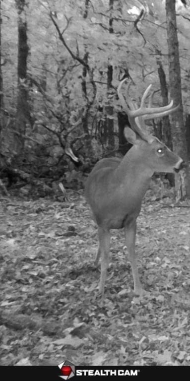TBD Galloway Rd, Canehill, AR 72717