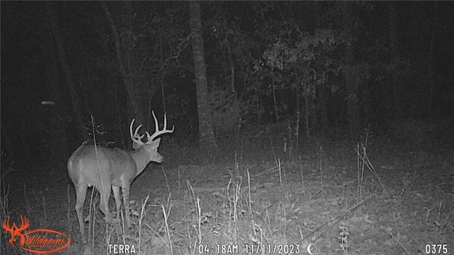TBD Galloway Rd, Canehill, AR 72717