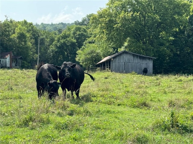 TBD Galloway Rd, Canehill, AR 72717